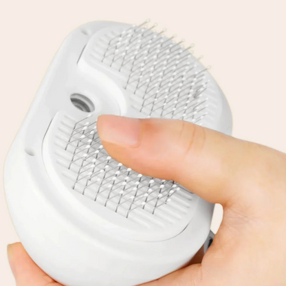 FlufClean Borstel Spray