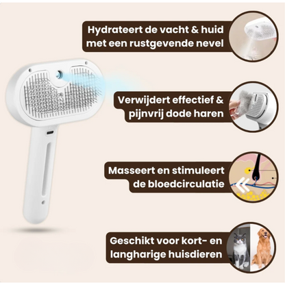 FlufClean Borstel Spray